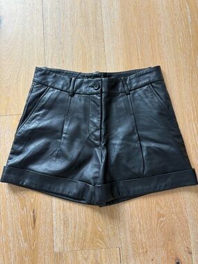 Elizabeth and James Leather Shorts 4